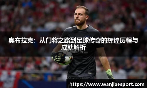 玩加电竞官网